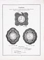 Uhrenkatalog der Spanischen Uhrenhandlung Maurer in Barcelona 1913, Seite 72.jpg