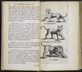 A Description of Three Hundred Animals, Thomas Boreman (2).jpg