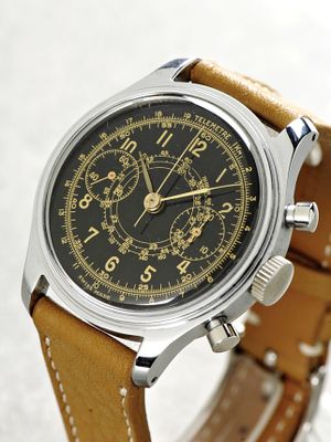 Selza watch 2025 company