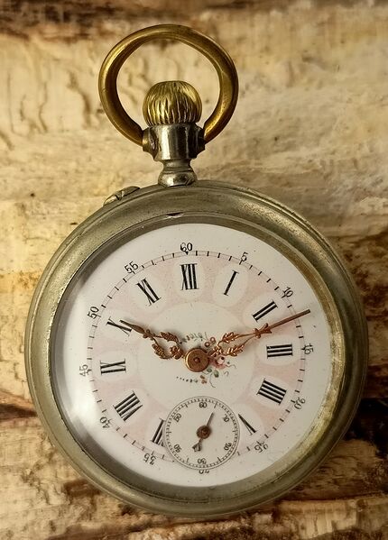 Datei:1771186468563-Minerva Front.jpg