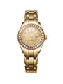 Rolex First Lady-Datejust Pearlmaster 1992.jpg
