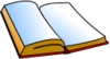 Buch-Icon