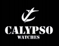Calypso Logo.jpg