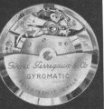 Gyromatic1.jpg