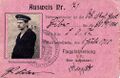 Flugplatzausweis Nr. 71 Warnemunde, Paul Biber.jpg